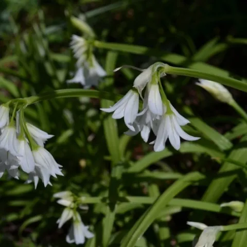 photo by Erin Mahaney