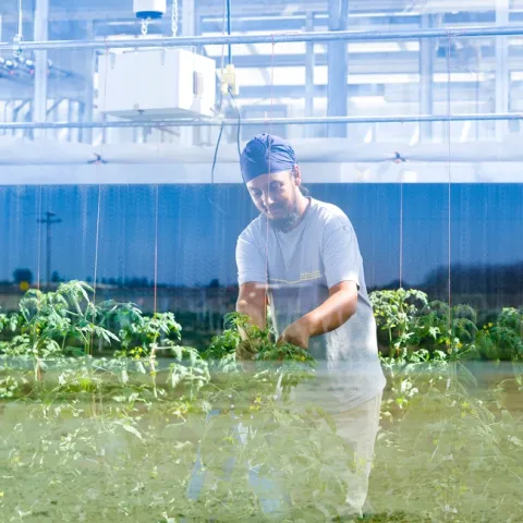 Agricultural technology will make the industry more efficient, productive, profitable and safe.