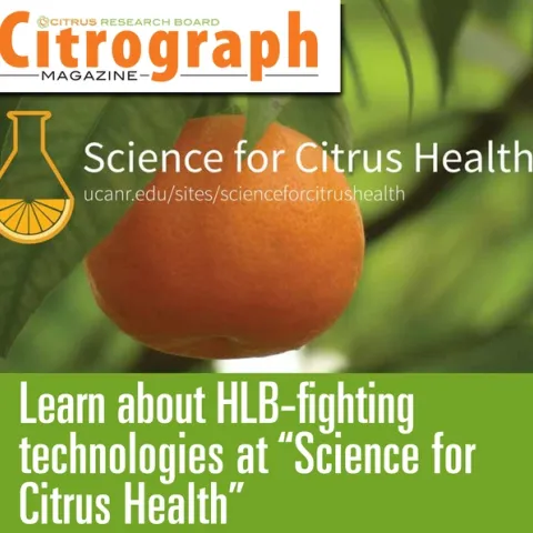 Images of orange for Citrograph article http://www.citrusresearch.org/uncategorized/citrograph-summer-2019/#more-8369