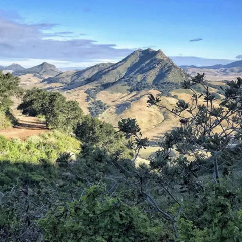 View of the mountain from The Land Conservancy of San Luis Obispo County