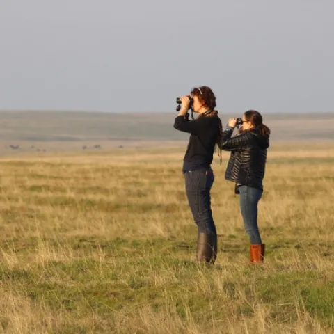 Two people stand on a grassland prairie under a big blue sky, looking toward the horizon with binoculars.