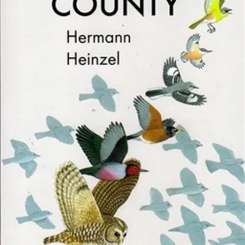 Birds of Napa County--see the locals.