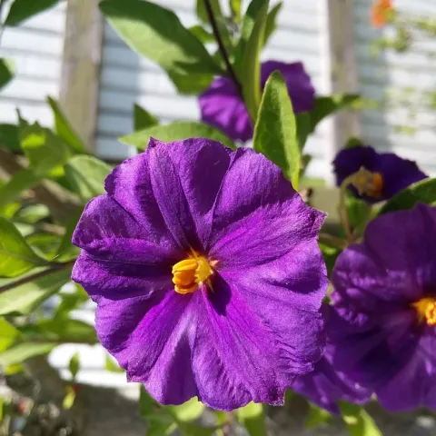 Photo By Polly Nelson