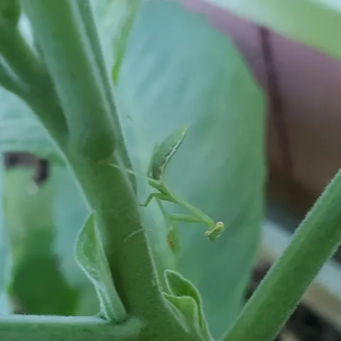 photos by Paula Pashby