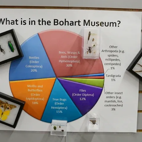 What's in the Bohart Museum of Entomology? A sign tells all. (Photo by Kathy Keatley Garvey)