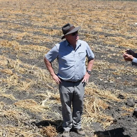 Australian vegetable crop consultants and farmer network coordinators Mike Titley (left) and David Vernon (center), meet with Pinnacles Organic farmer, Phil Foster at his farm in Hollister, CA on August 15, 2019