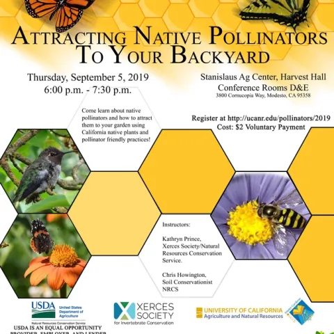Pollinators-in-your-Backyard poster