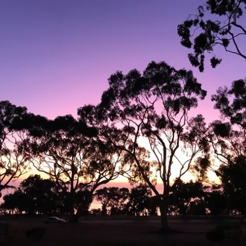 San Diego sunset. Photo courtesy of Mark Bell.