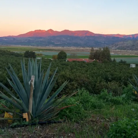 King & King Ranch. Photo credit Gemina Garland-Lewis.