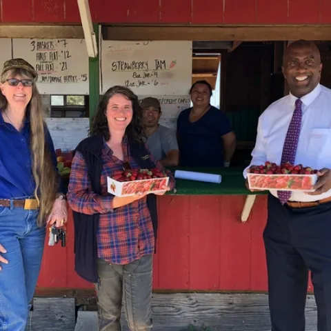 UCCE farm advisor Margaret Lloyd, in plaid shirt, led Debbie Thompson, Sacramento County deputy ag commissioner, and Assemblymember Jim Cooper on a tour to meet Mien strawberry growers she works with.