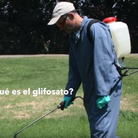 glifosato