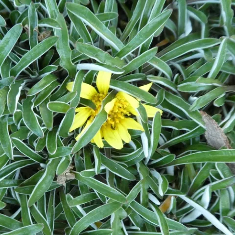 photos by Launa Herrmann