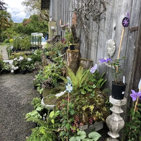 Joy Creek Nursery (photos by Erin Mahaney)