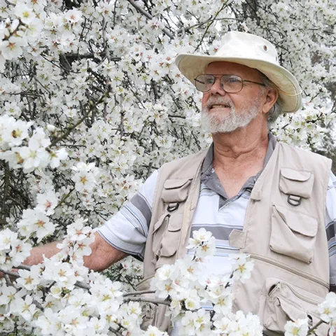 A celebration of life for Robbin Thorp will take place from 6 to 8 p.m., Friday, Oct. 11 in the Putah Creek Lodge. This image was taken Feb. 18, 2010 by an almond tree near the Harry H. Laidlaw Jr. Honey Bee Research Facility. (Photo by Kathy Keatley Garvey)