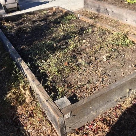 photos by Stan Zervas