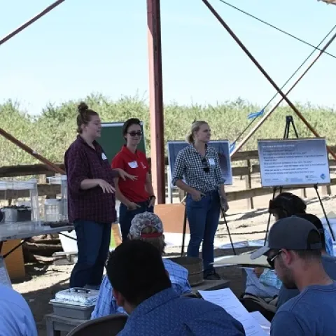 Emily Lovell (left), Shulamit Shroder (center), and Caddie Bergren (right) sharing with field educational event participants information about the CDFA Healthy Soils and State Water Efficiency Enhancement Programs