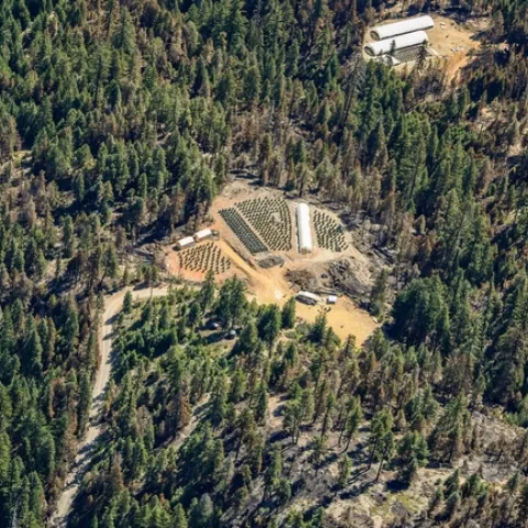 Cannabis cultivation -- both licensed and unlicensed -- has expanded rapidly in Humboldt County. A new survey sheds light on how the community is adapting.