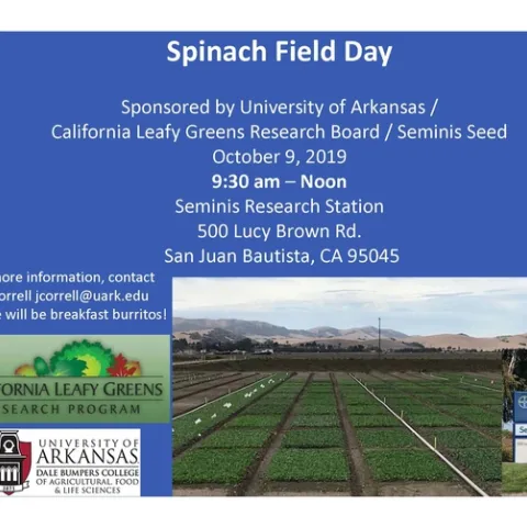 Spinach Field Day
