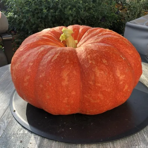 photos by Erin Mahaney