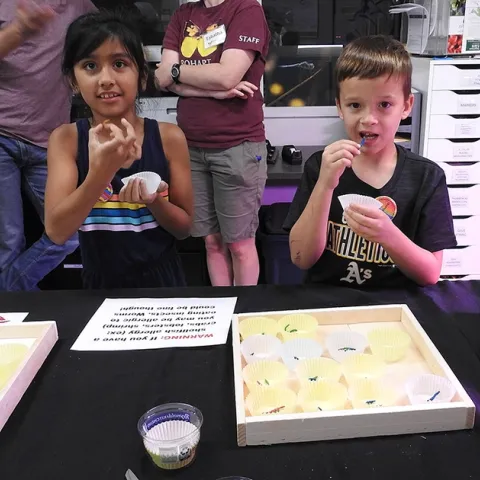 Cousins Aryanna Nicole Torres, 8, of Woodland and Aaden Matthew Brazelton, 8, of Vacaville, get ready to eat insects. Their grandmother, UC Davis employee Elvira Galvan Hack of Dixon, accompanied them to the museum. (Photo by Kathy Keatley Garvey)
