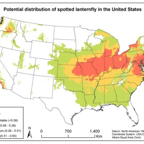 spotted lantern fly map