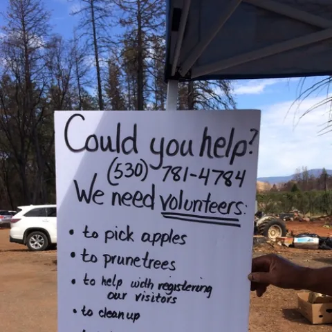 Noble Orchards sign "We need volunteers"