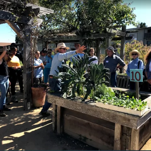 Attendees standing by a raised garden bed clearly marked with a number that identifies a certain garden location.