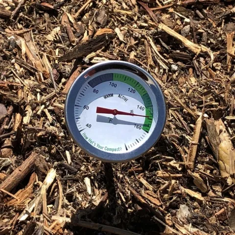 Photo by Jacqueline Shubitowski