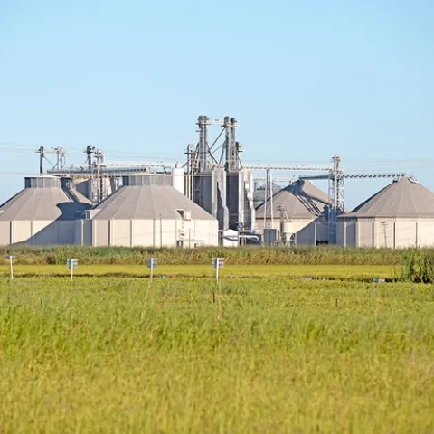 Rice Experiment Station, Biggs, CA