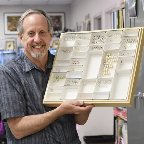 Bohart Museum senior museum scientist Steve Heydon with his Pteromalids or jewel wasps. (Photo by Kathy Keatley Garvey)