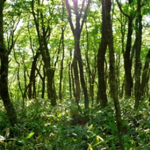 Photo by Jet Kim on Unsplash