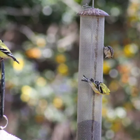 photo by Jennifer Baumbach