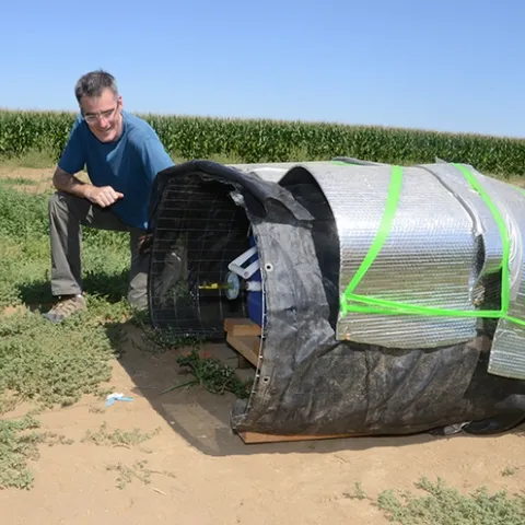 Neal Williams, newly elected Fellow of the California Academy of Sciences, is "widely known and respected for his excellence in research, extension, outreach, teaching and leadership," wrote nominator James R. Carey. Here Williams works on a bumble bee project. (Photo by Kathy Keatley Garvey)