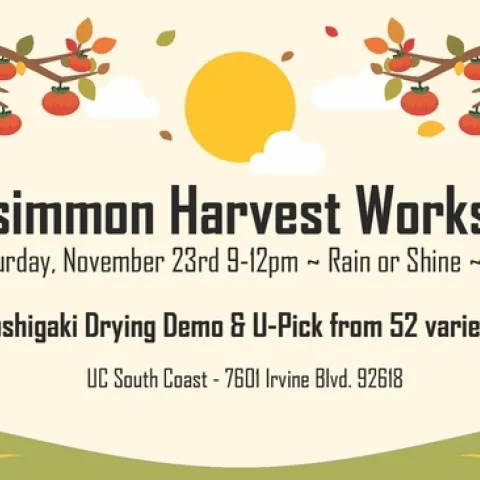 PersimmonHarvestWorkshop Twitter