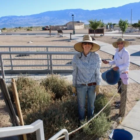 Ariel Bohar and Joanne Parsons tending the guayule patch.