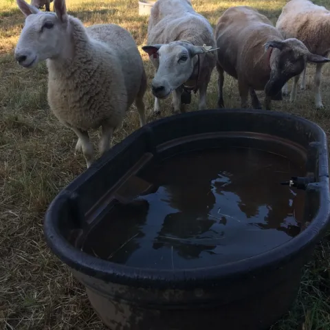 2017-06-22 18.30.12 HDR (2)