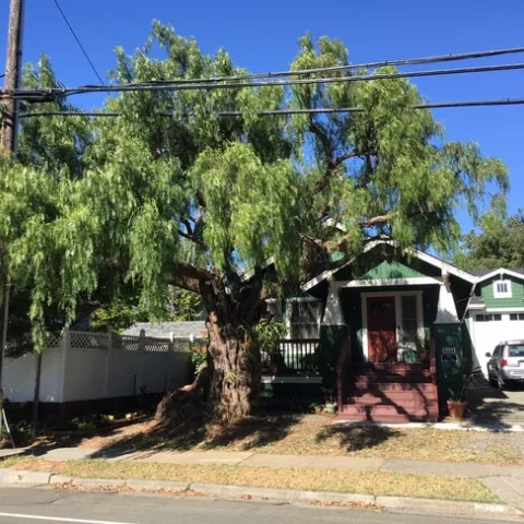 photos by Stan Zervas