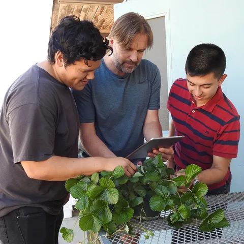 Checking out data are (from left) The Smart Spray team: computer scientist Gabriel Del Villar; agricultural entomologist Christian Nansen and computer scientist/student Alexander Recalde. (Photo by Kathy Keatley Garvey)