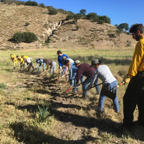 Participants using hand tools.