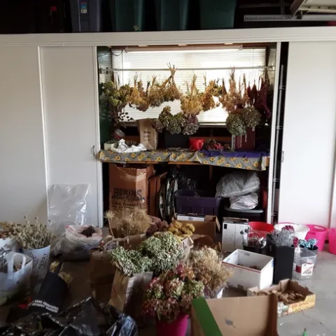 photos by Toni Greer