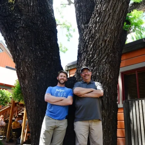 Forest entomologist/chemical ecologist Steve Seybold with doctoral student Jackson Audley at a downtown Davis tree dying of thousand cankers disease. (Photo by Kathy Keatley Garvey)