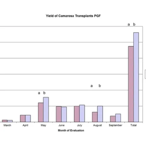 Camarosa Transplants - Elkhorn Slough
