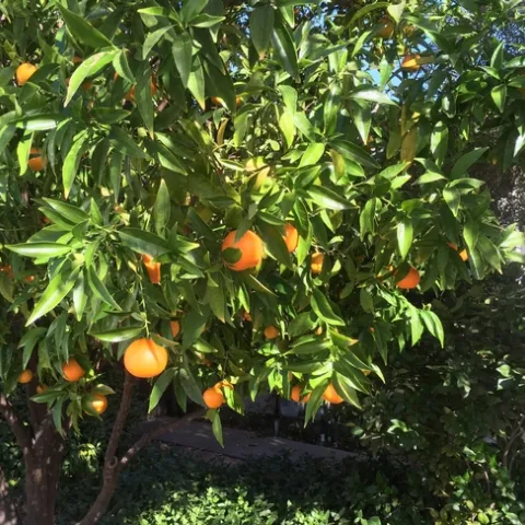 photos by Michelle Davis