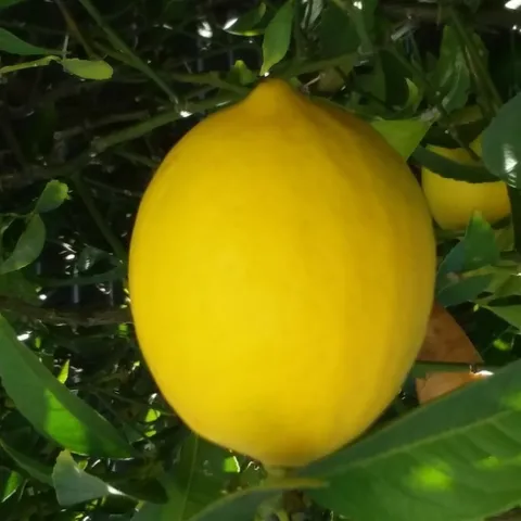 Photo By Polly Nelson