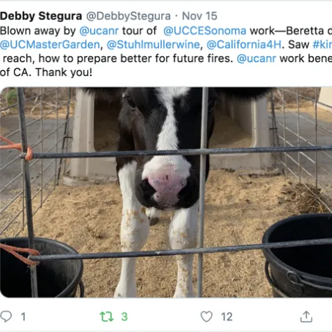 UC alumni regent-designate Debby Stegura met UCCE staff and stakeholders in Sonoma County to learn more about UC ANR serves Californians away from campuses..