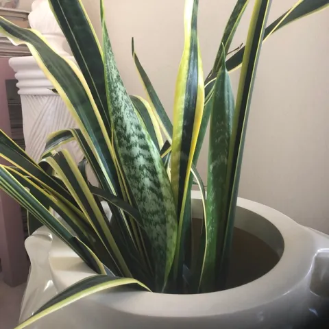 Photo by Mary Giacoletti