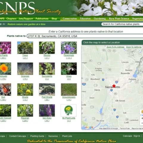 Consult CNPS for natives to plant in your garden (CNPS