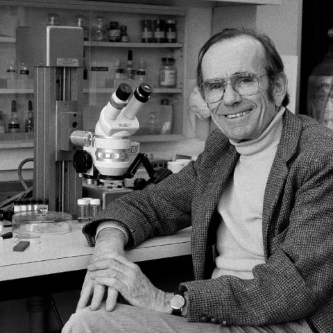 Cornell University scientist Tom Eisner (1929-2011), known as “the father of chemical ecology” and “the world’s best scientist,” died in 1911 at age 81.