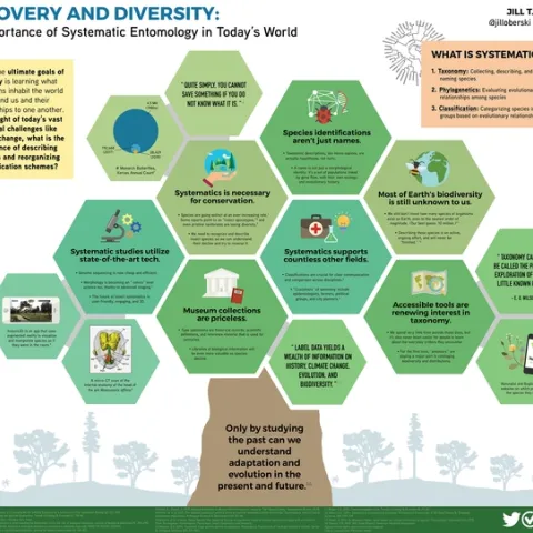 Jill Oberski's infographic in the SysEB section: “Discovery and Diversity: The Importance of Systematic Entomology in Today’s World.”