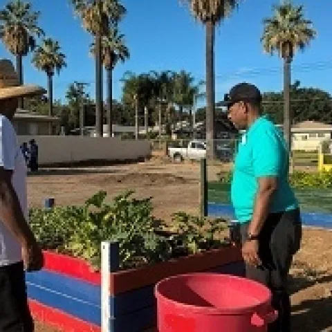 RFT Community Garden